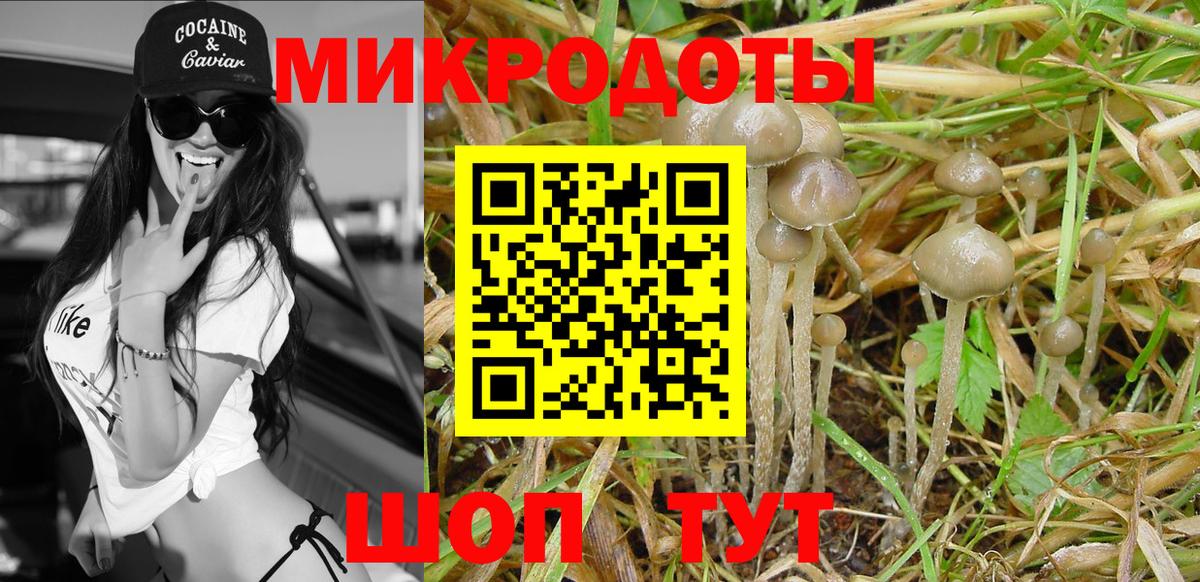 Борзя  Псилоцибиновые грибы мицелий  Вход с VPN 